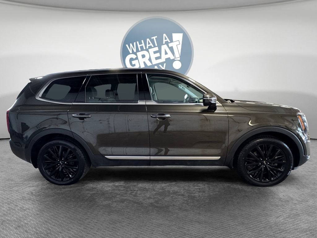 Used 2021 Kia Telluride SX w/ SX Prestige Package image 2