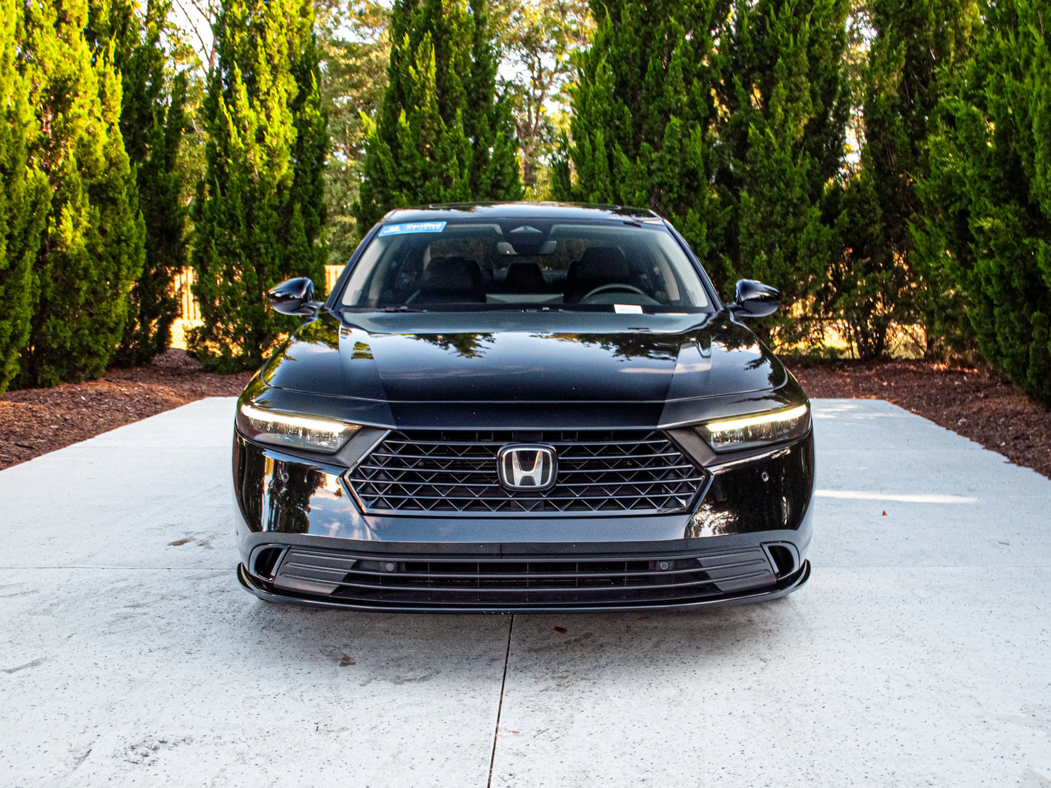 Used 2025 Honda Accord EX-L image 3