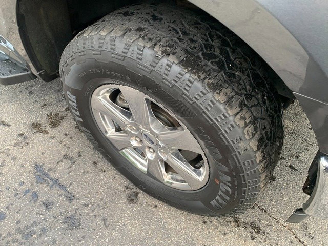 Used 2019 Ford F150 XLT w/ Equipment Group 301A Mid AWD/4WD image 9