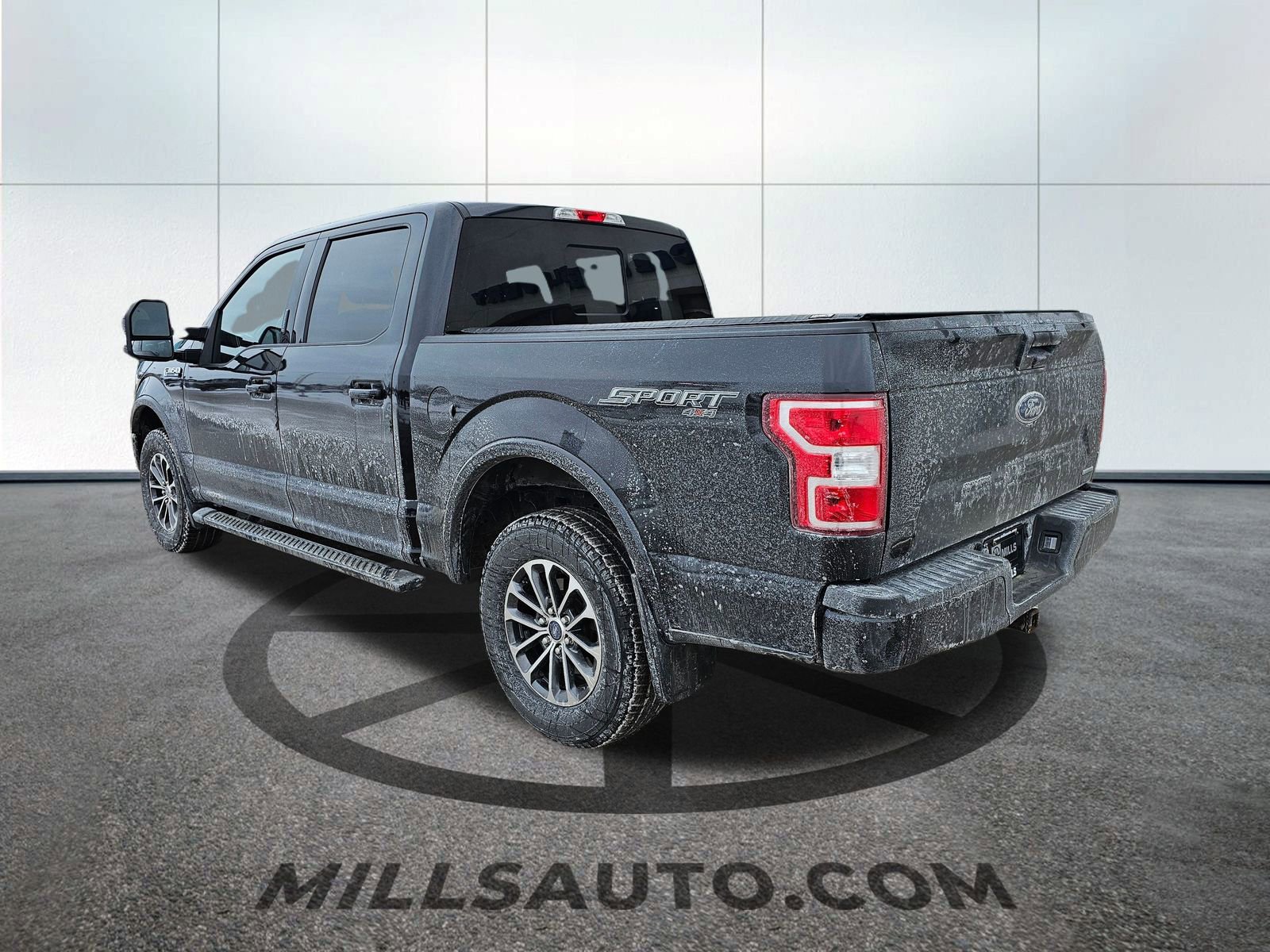 Used 2019 Ford F150 XLT w/ Equipment Group 302A Luxury image 4