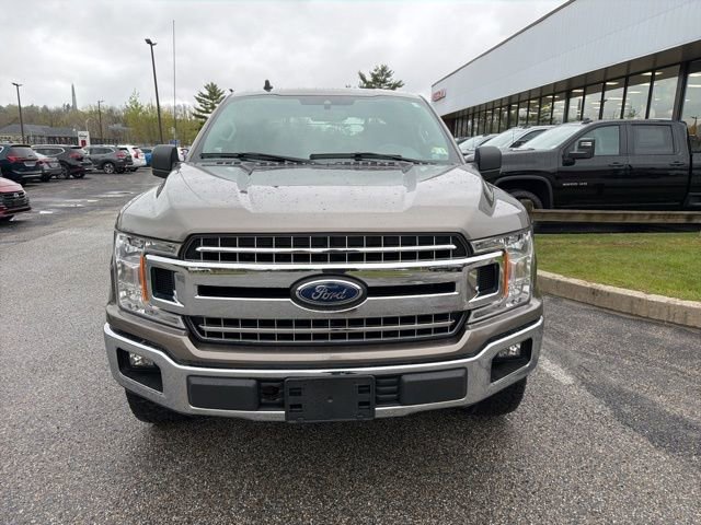 Used 2019 Ford F150 XLT w/ Equipment Group 302A Luxury AWD/4WD image 8