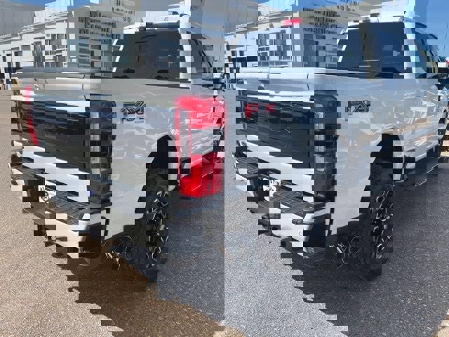 New 2026 Ford F250 Platinum image 6