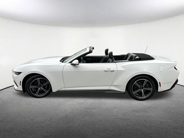 Used 2024 Ford Mustang Premium RWD image 13
