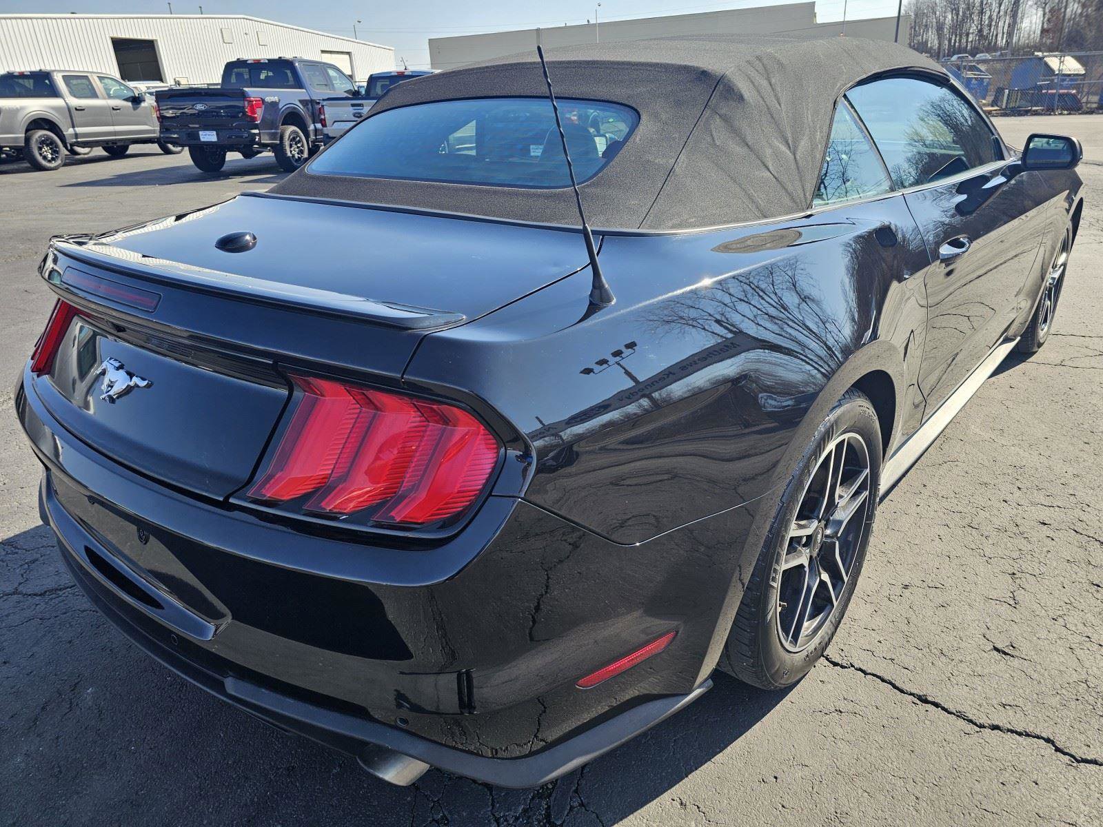 Used 2022 Ford Mustang Premium image 5
