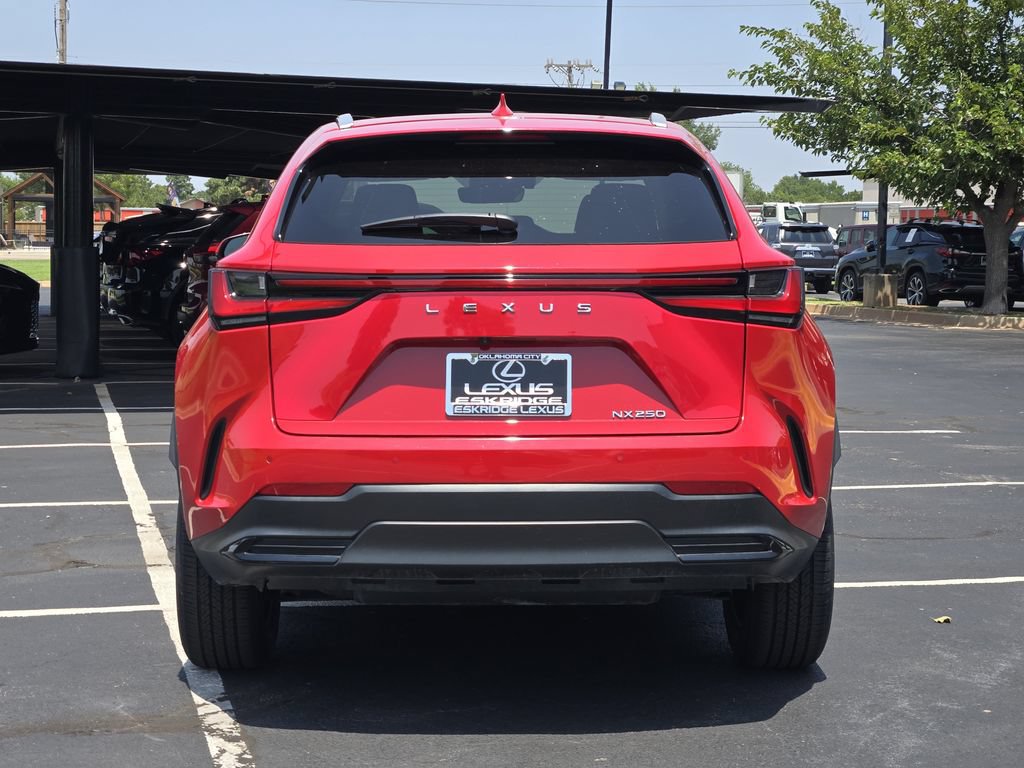 Used 2024 Lexus NX 250 FWD image 6