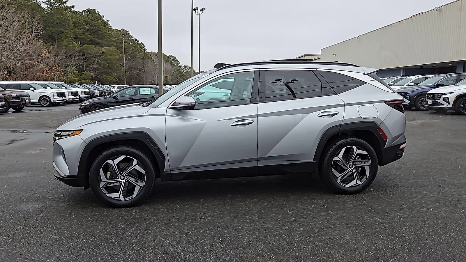 Certified 2023 Hyundai Tucson Limited image 5