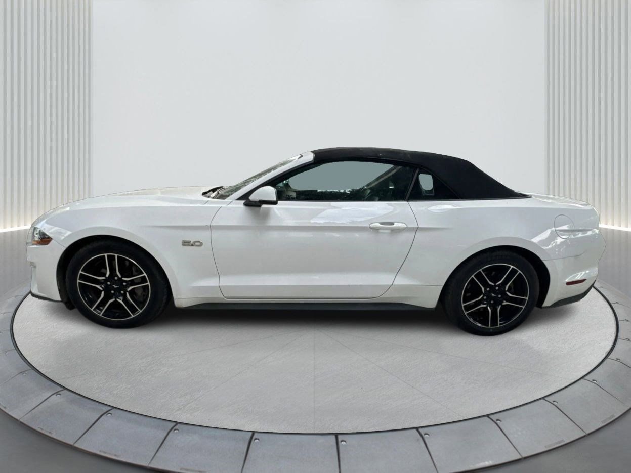 Used 2022 Ford Mustang GT Premium w/ Equipment Group 401A image 11