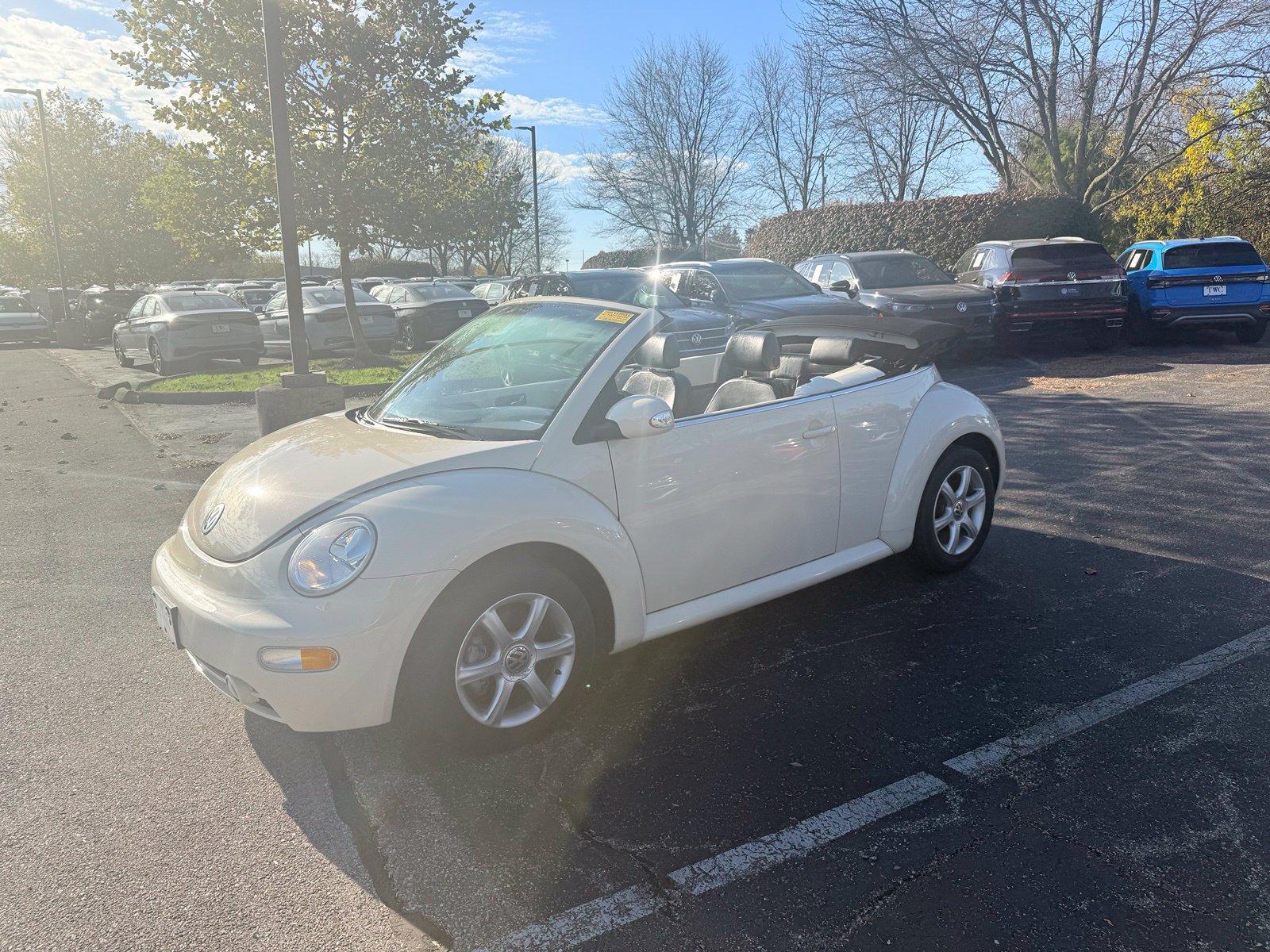 Used 2005 Volkswagen Beetle GLS FWD image 3