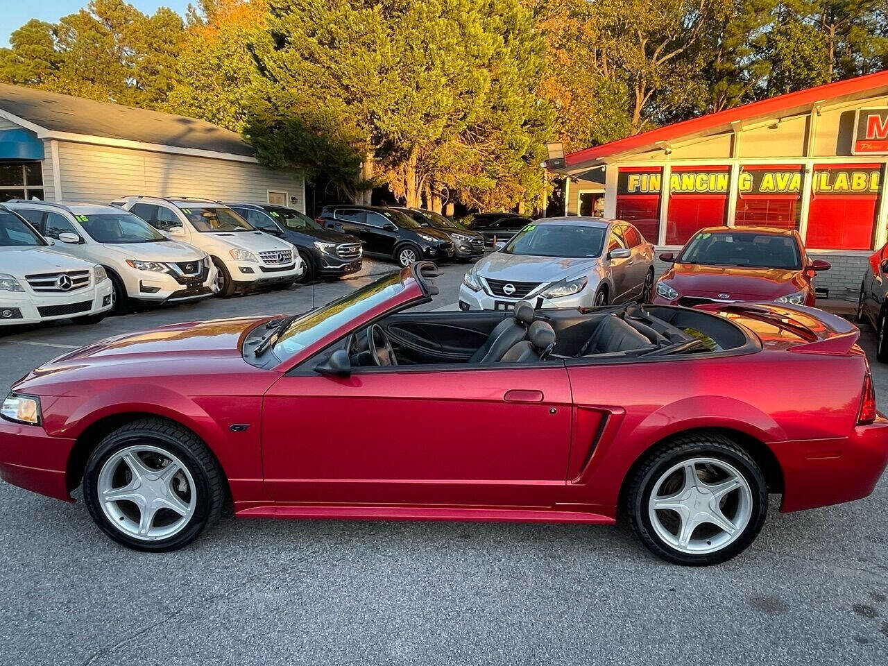 Used 2000 Ford Mustang GT RWD image 12