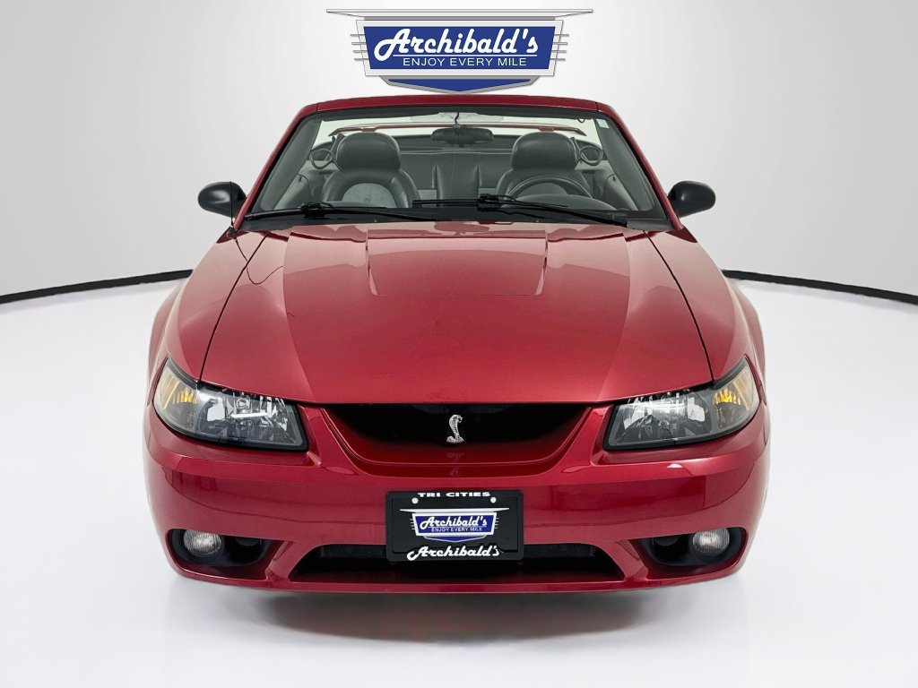 Used 2001 Ford Mustang Cobra RWD image 2