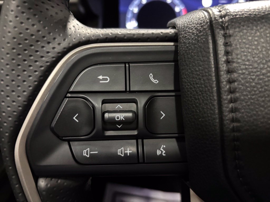 Used 2025 Toyota 4Runner Limited AWD/4WD image 19