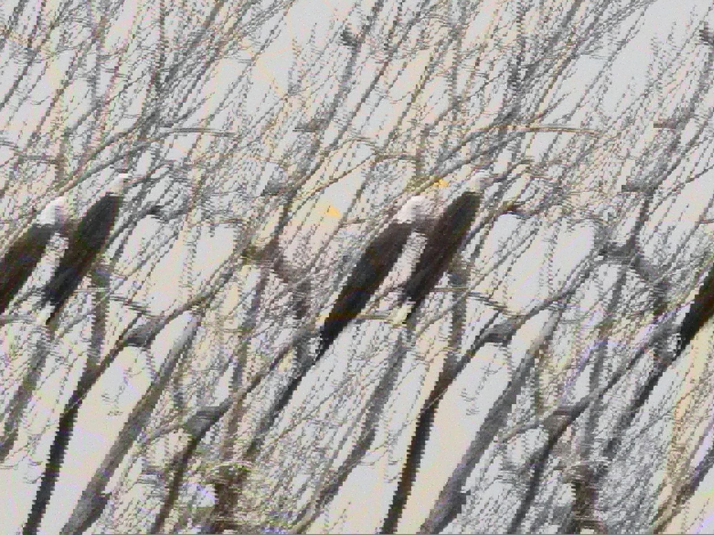 New 2026 Ford Escape ST-Line w/ Tech Pack #1 image 28