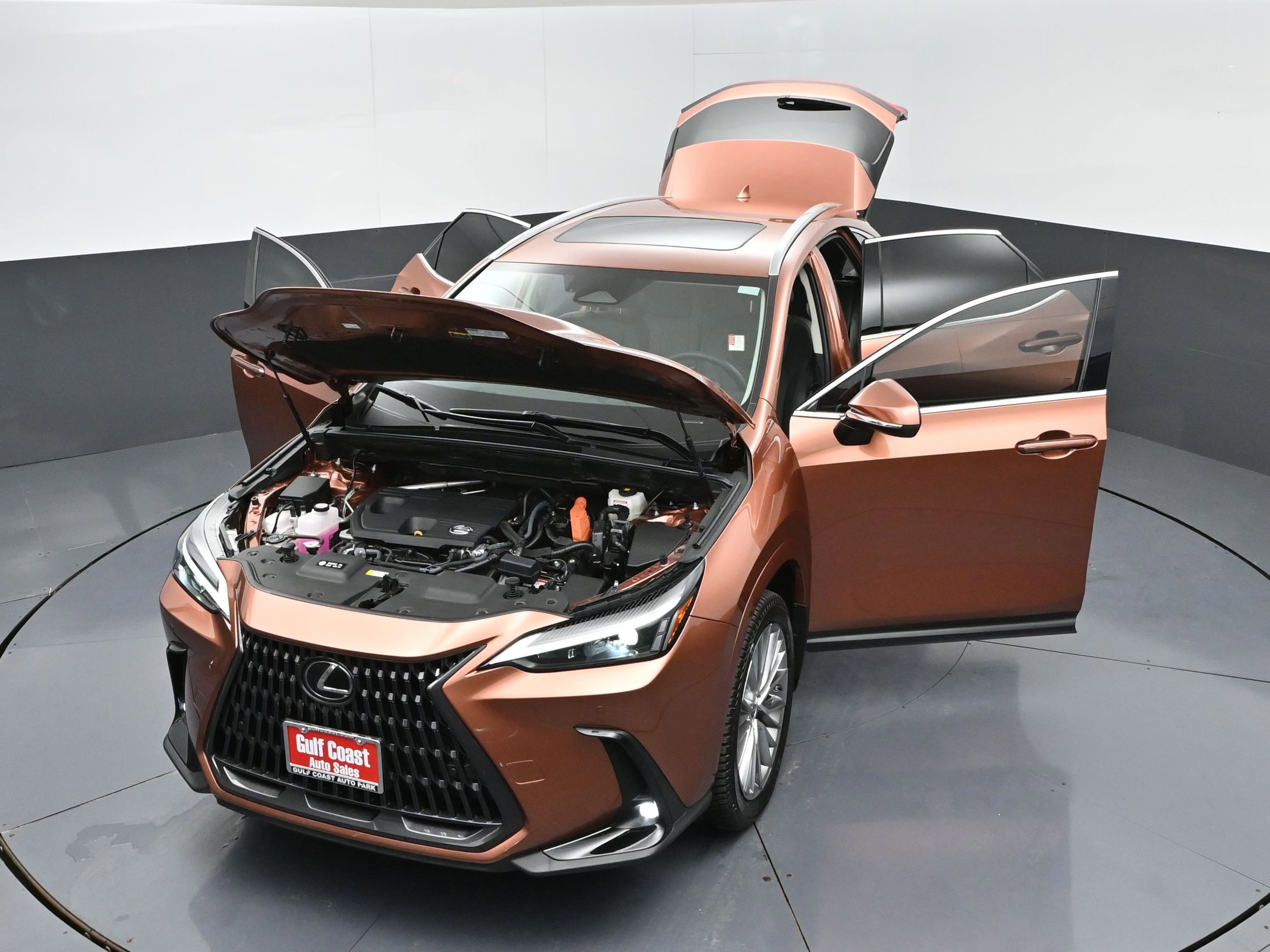 Used 2025 Lexus NX 350h AWD w/ Cold Area Package image 50