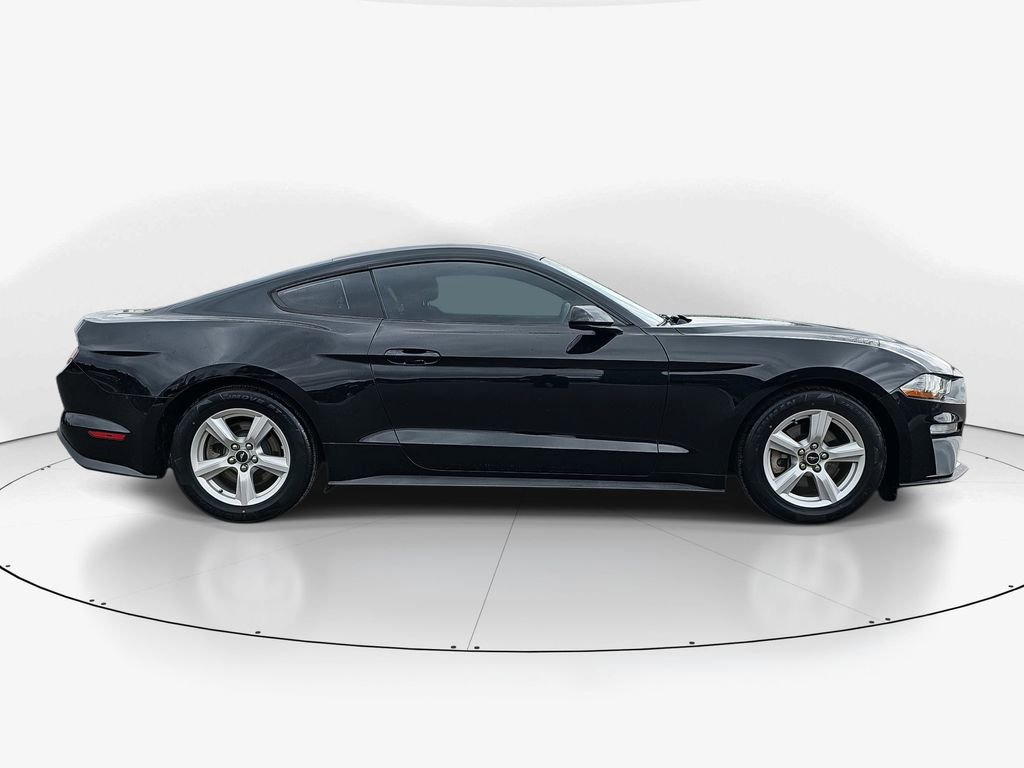 Used 2019 Ford Mustang EcoBoost image 4