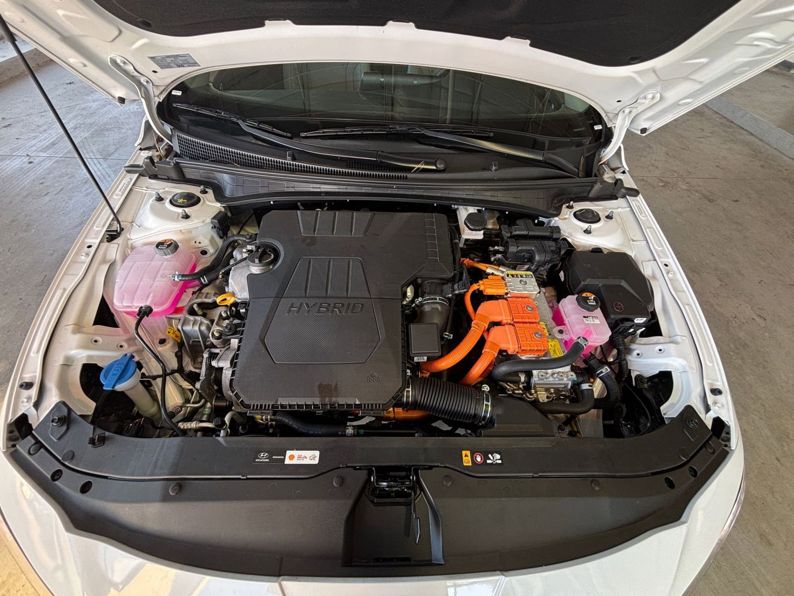 Used 2025 Hyundai Elantra Limited image 36