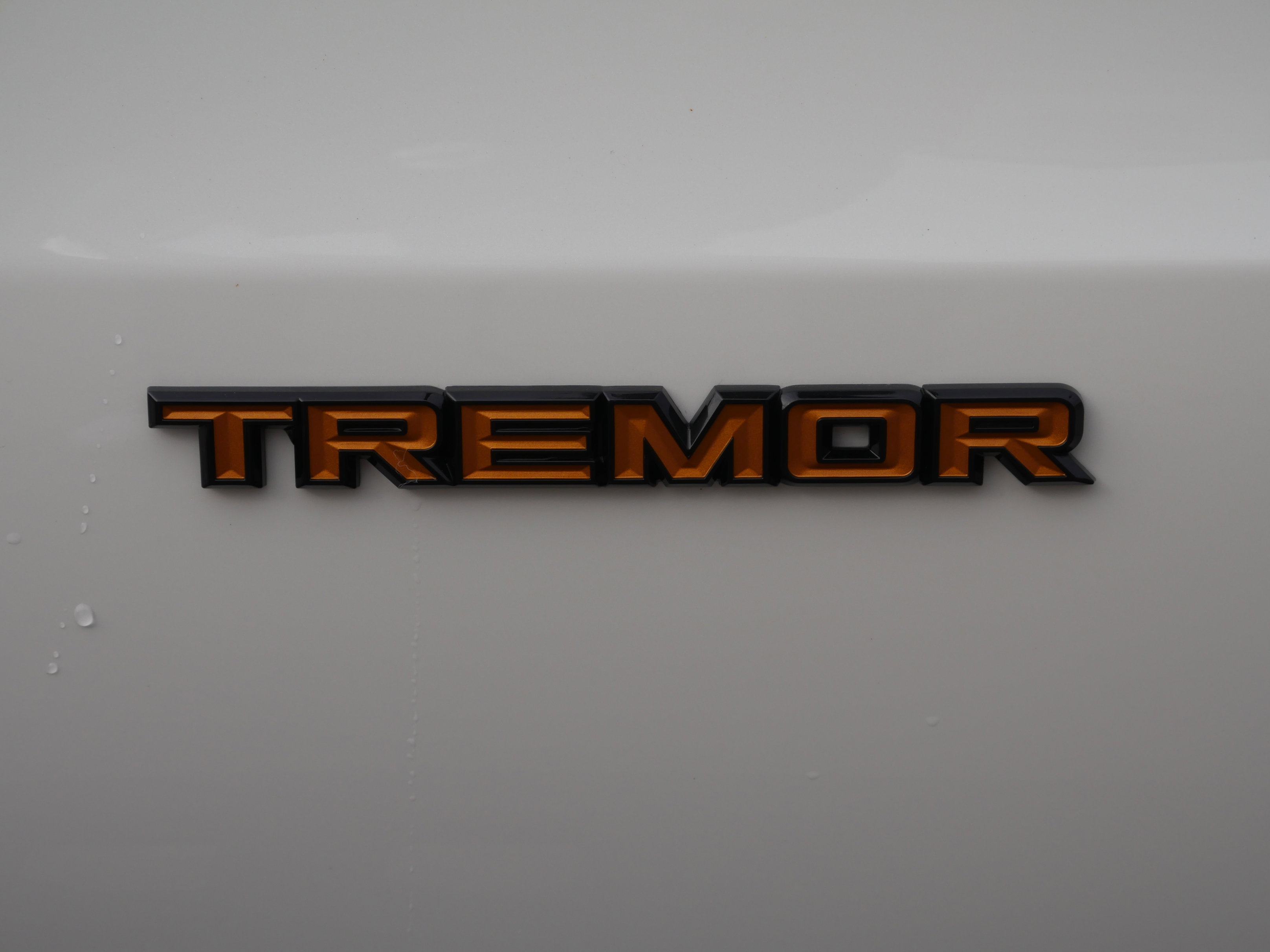 New 2026 Ford Expedition Tremor image 18