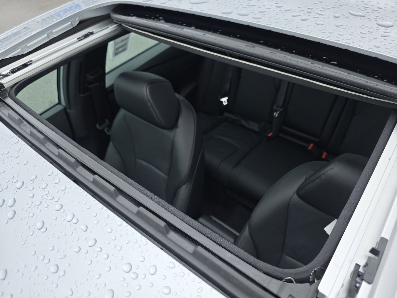 New 2026 Honda Accord Sport image 4