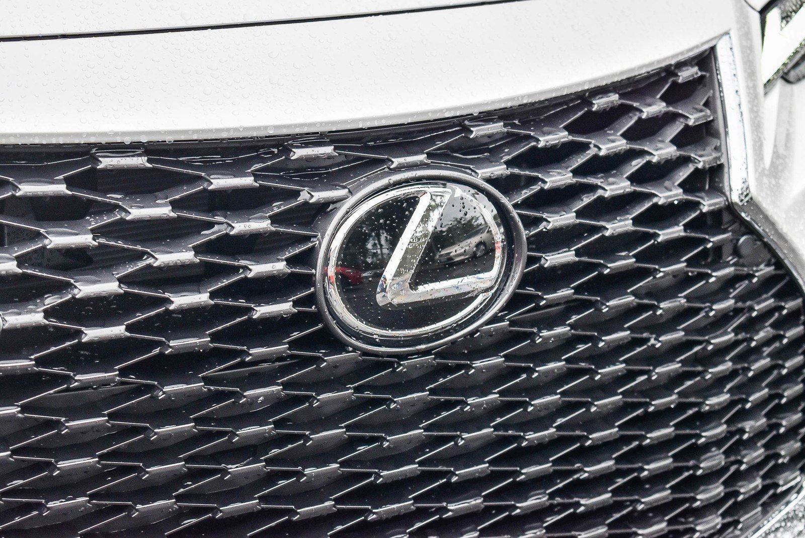 New 2025 Lexus IS 300 w/ Comfort Package image 9
