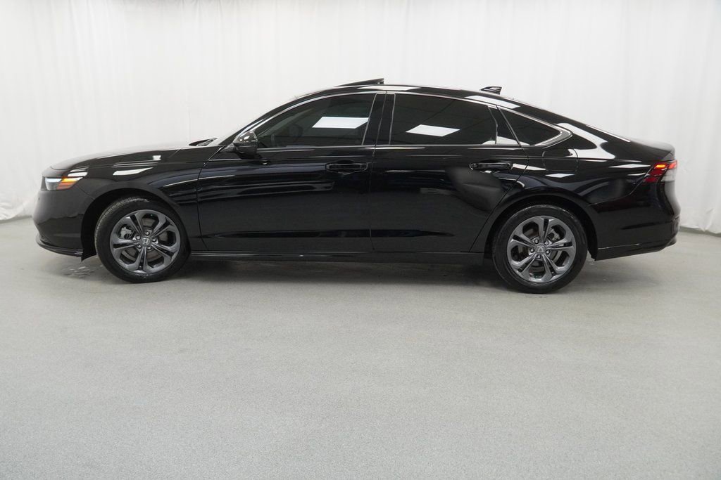 Used 2025 Honda Accord EX-L image 14