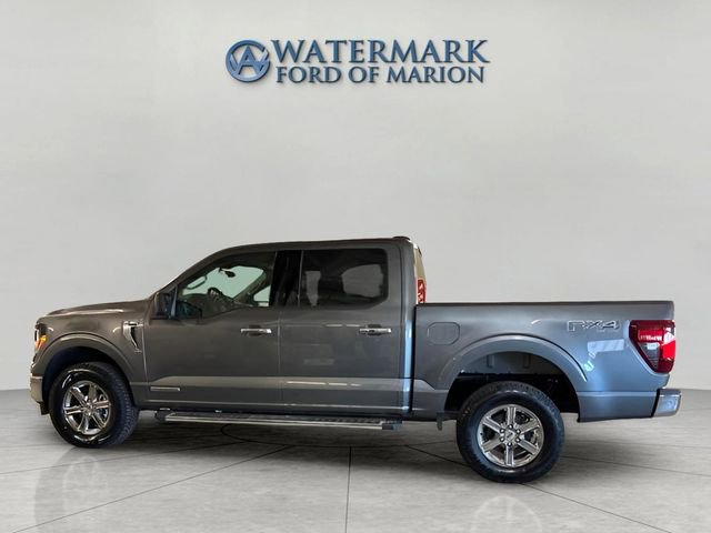 New 2025 Ford F150 XLT w/ Equipment Group 301A Standard image 2