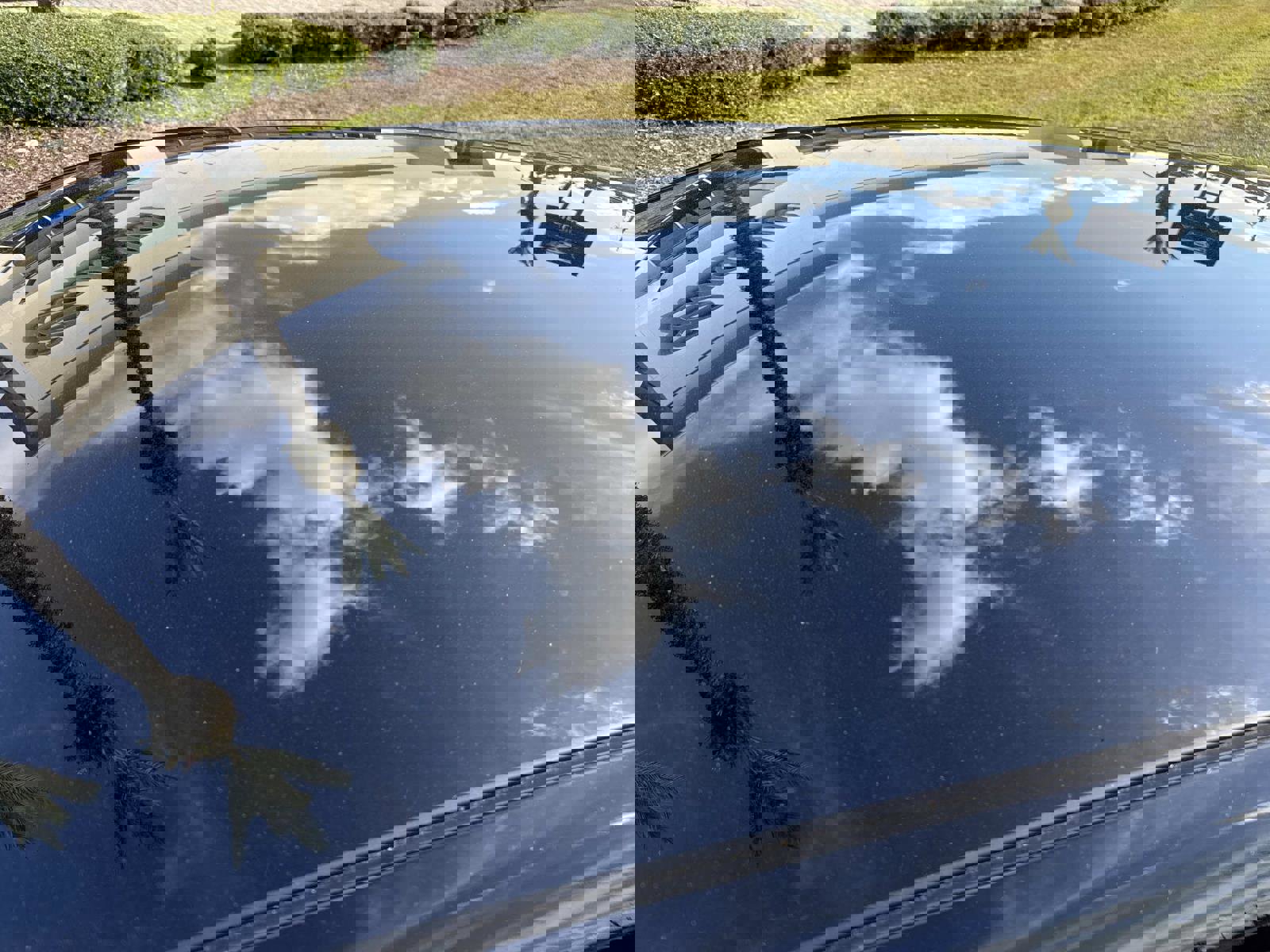 New 2026 Cadillac Optiq Sport 2 image 11