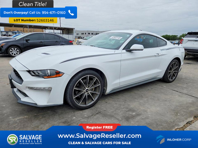 Used 2019 Ford Mustang Coupe w/ Wheel & Stripe Package RWD image 1