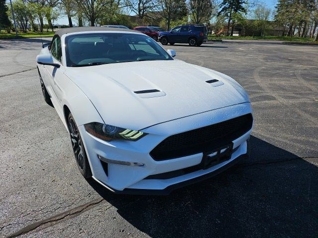 Used 2019 Ford Mustang Premium RWD image 8