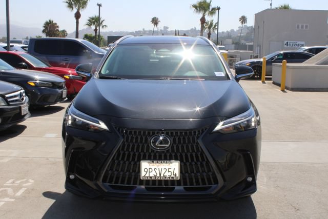 Certified 2025 Lexus NX 350h AWD w/ Cold Area Package image 2