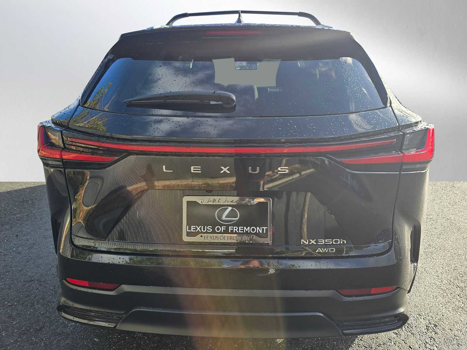 Used 2025 Lexus NX 350h AWD w/ Premium Package image 4