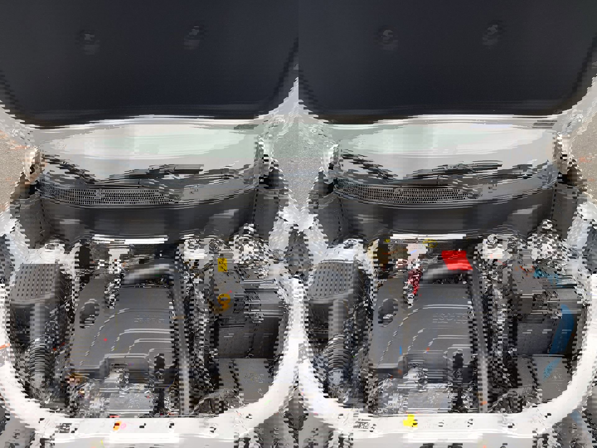 New 2026 GMC Terrain AT4 w/ Convenience Package III image 62