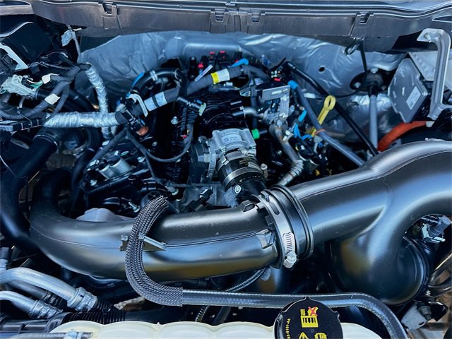 Used 2025 Ford F150 XLT w/ Equipment Group 302A MID image 30