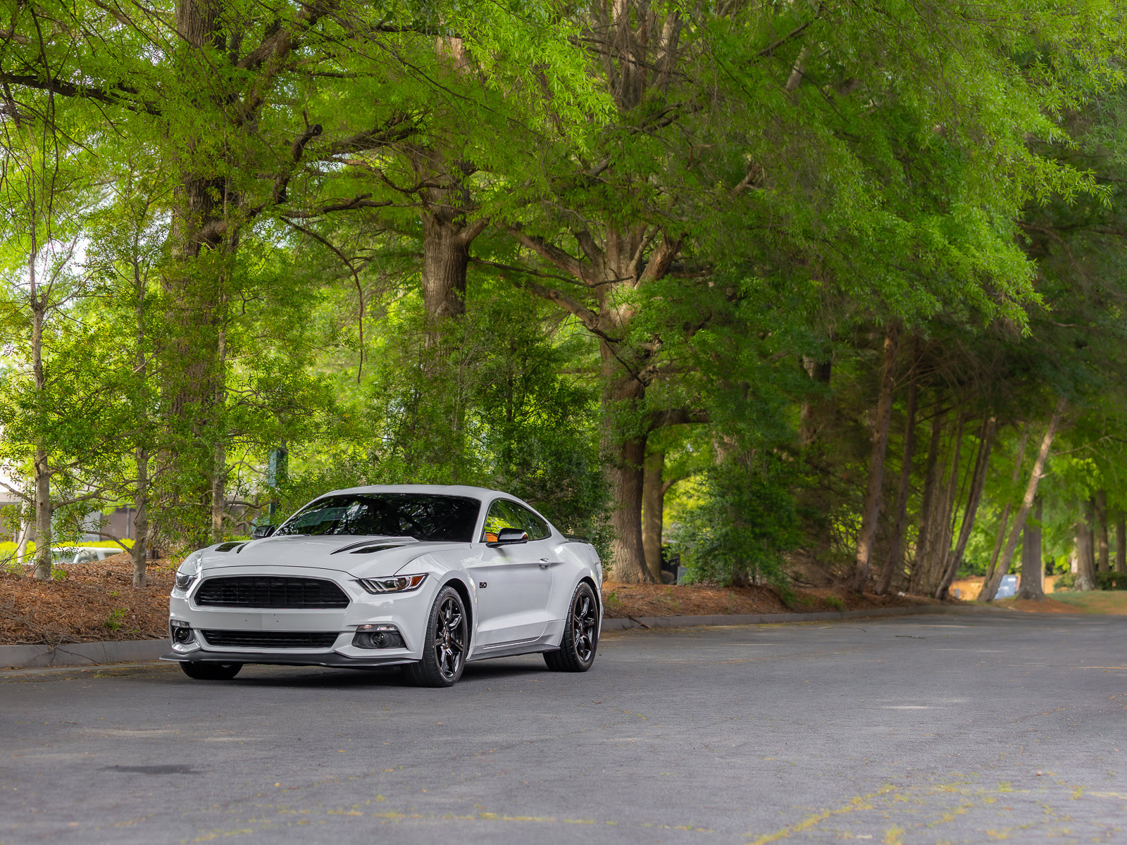 Used 2017 Ford Mustang GT Premium w/ Equipment Group 401A RWD image 36