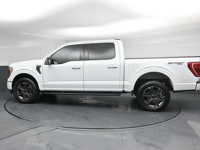 Certified 2023 Ford F150 XLT w/ Equipment Group 302A High AWD/4WD image 5