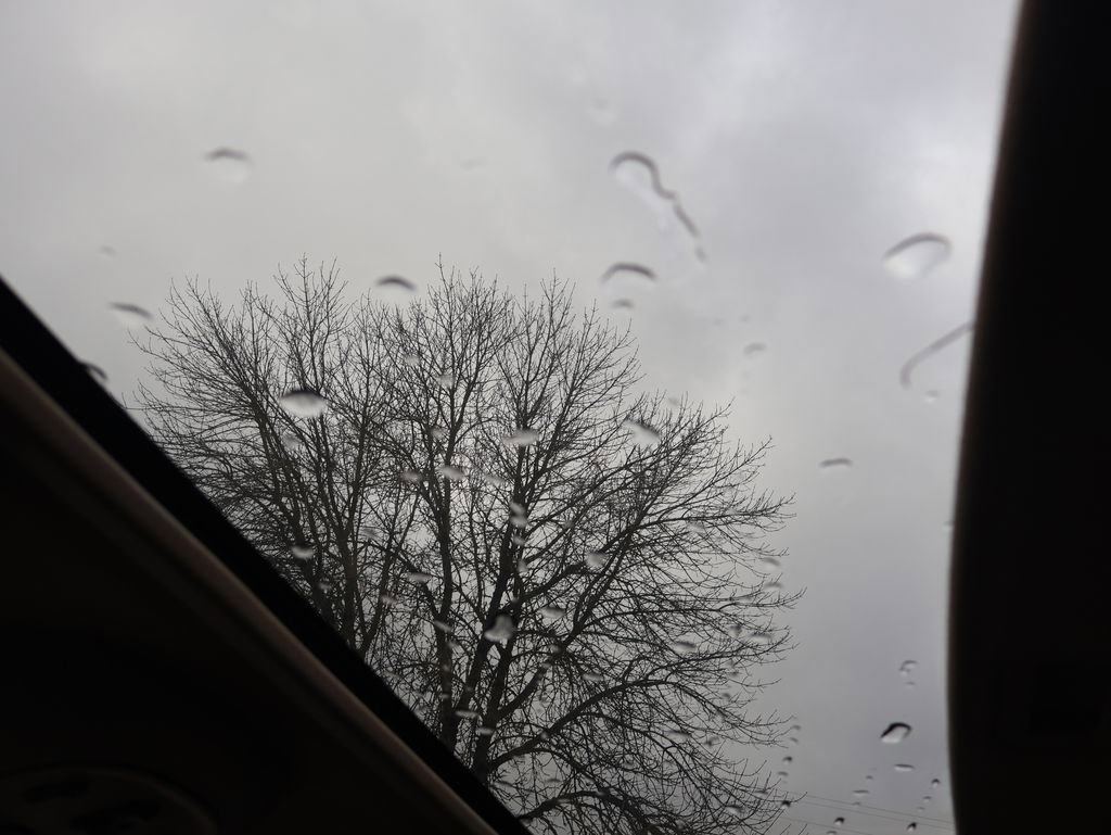 Used 2004 Ford F250 King Ranch image 18