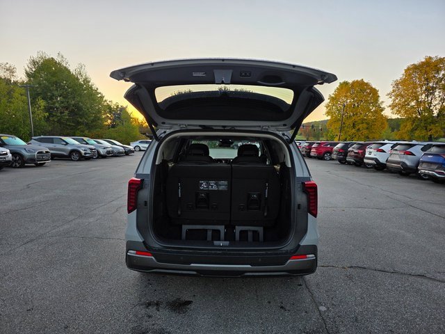 New 2026 Kia Carnival SX Prestige image 9