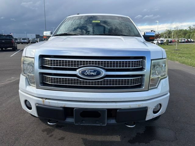 Used 2010 Ford F150 Platinum AWD/4WD image 3