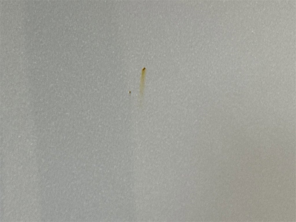 Used 2015 Hyundai Accent Sport image 33