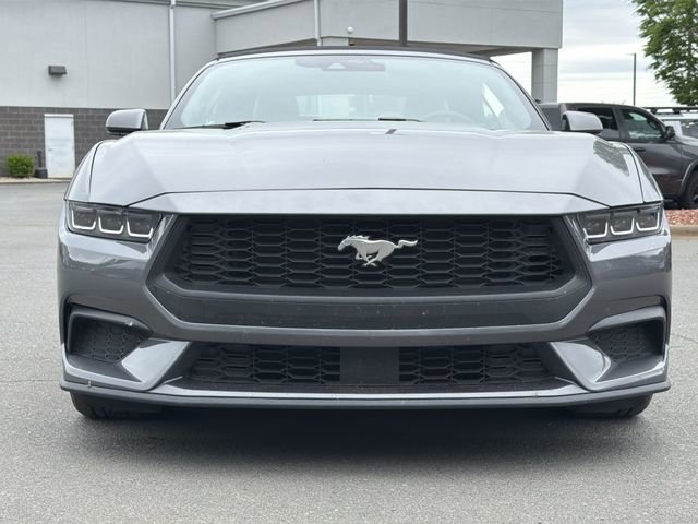 Used 2024 Ford Mustang Premium RWD image 7