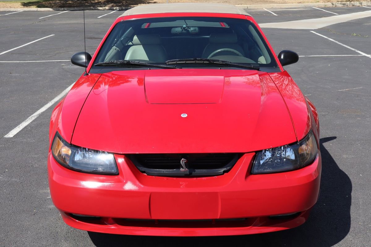 Used 1999 Ford Mustang Cobra image 12