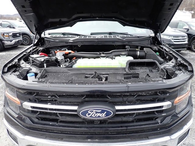 Used 2025 Ford F150 XLT w/ Equipment Group 302A MID image 15