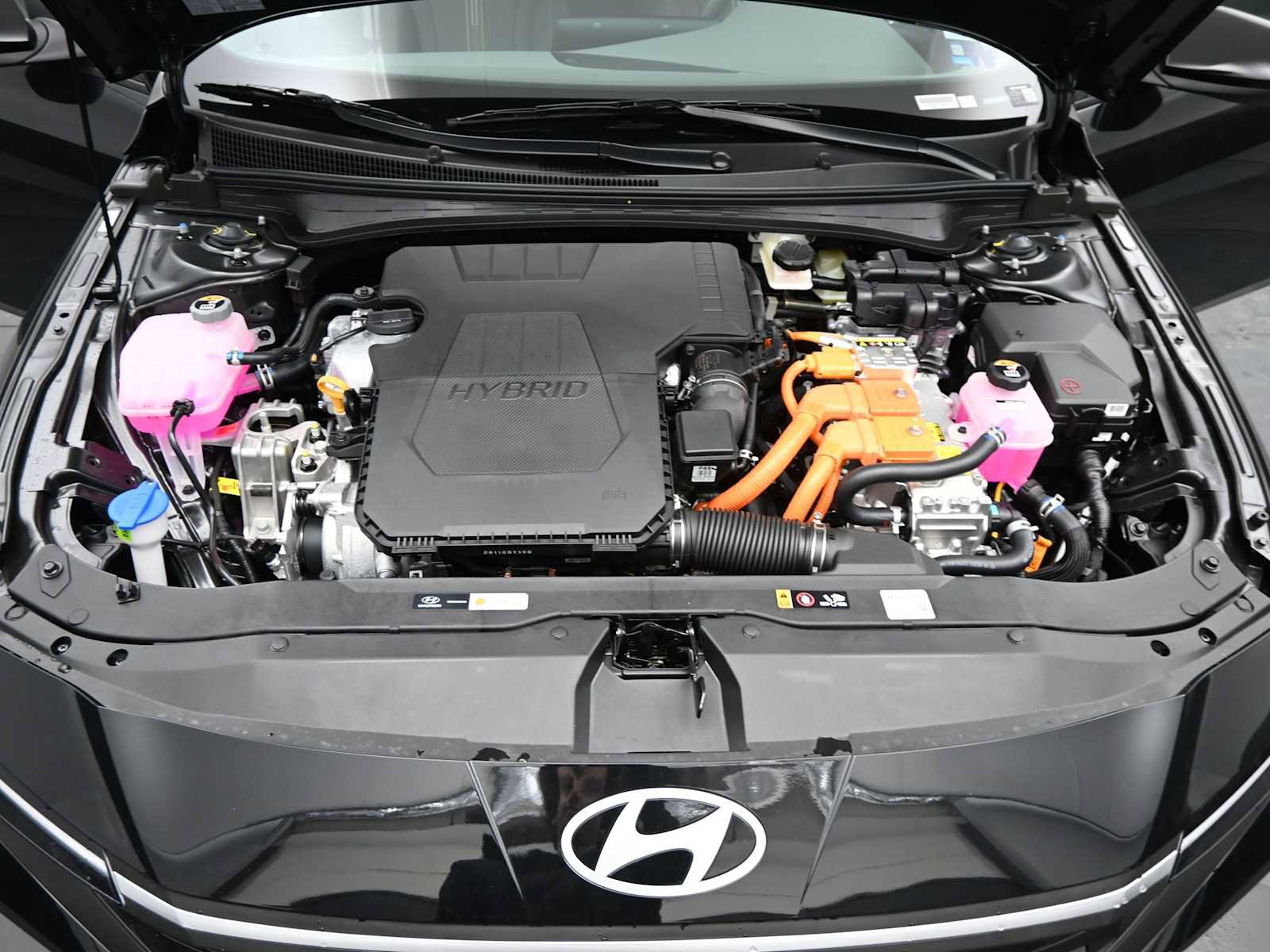 New 2026 Hyundai Elantra Sport image 22