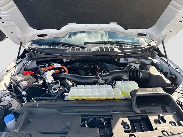 Certified 2024 Ford F150 XLT w/ Equipment Group 302A MID image 32