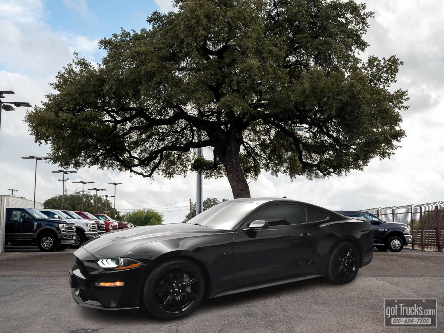 Used 2020 Ford Mustang GT w/ Equipment Group 301A RWD image 1