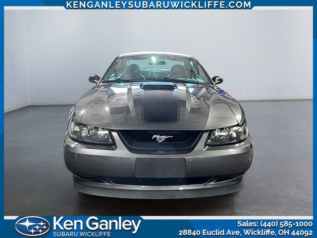 Used 2004 Ford Mustang Mach 1 image 8