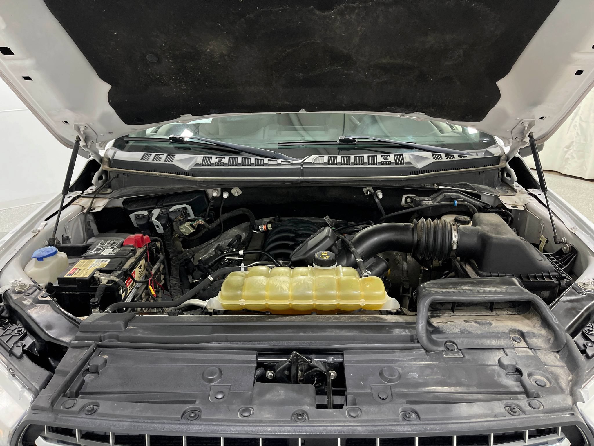 Used 2019 Ford F150 XLT w/ Equipment Group 302A Luxury AWD/4WD image 26
