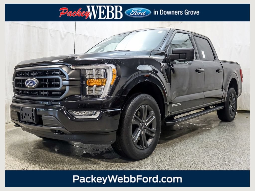 Used 2023 Ford F150 XLT w/ Equipment Group 302A High