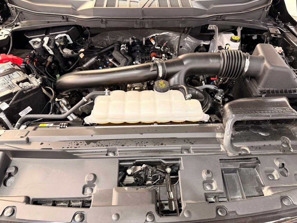 Certified 2025 Ford F150 XLT w/ Equipment Group 301A Standard image 7