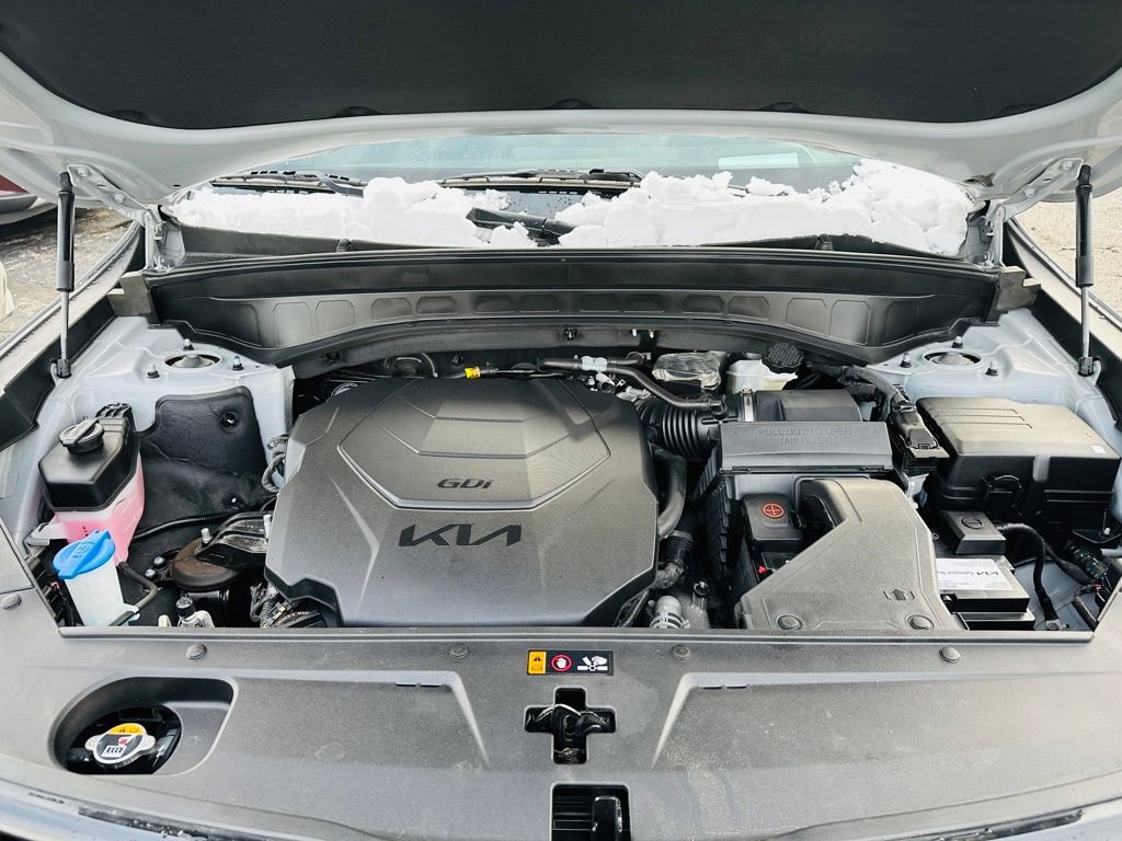 Used 2024 Kia Telluride SX Prestige X-Pro image 29