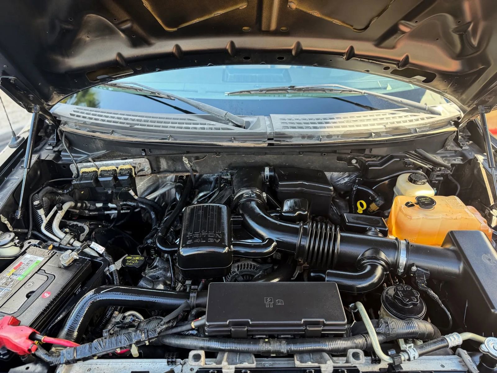 Used 2010 Ford F150 XLT image 8