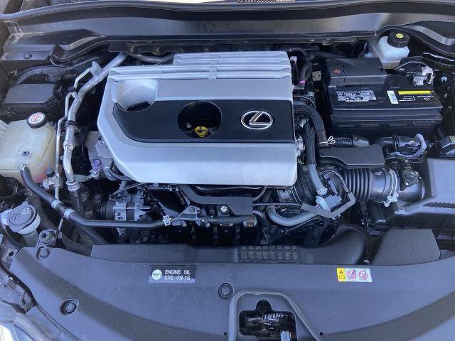 Used 2019 Lexus UX 200 w/ Premium Package FWD image 26
